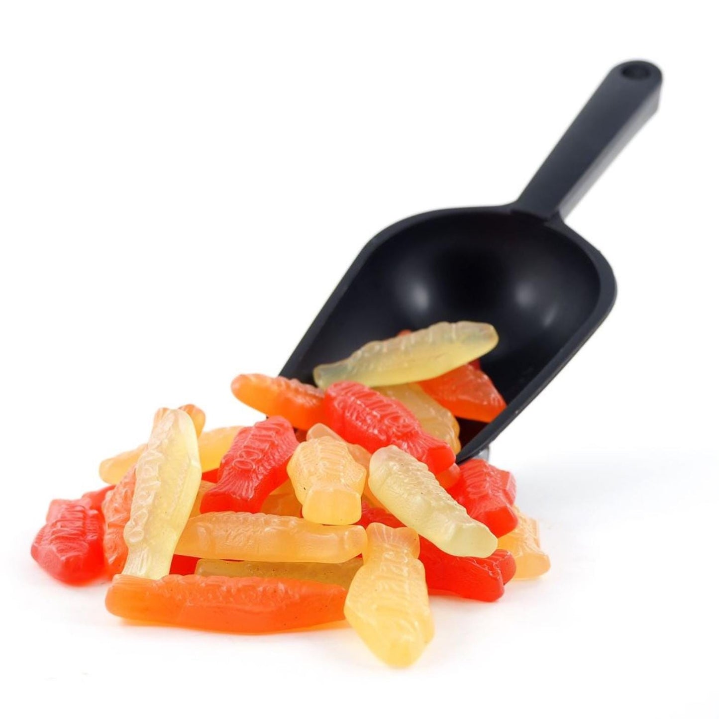 マラコパステルフィッシュ 1kg