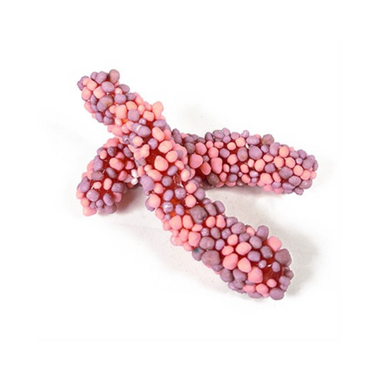 Nerds Rope Candy Purple & Pink – Fruity Gummy with Crunchy Nerds Coating – Jelioo Rope Candy