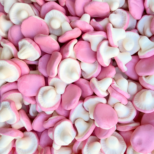 フランソンズ フォームマッシュルームキャンディ 1kg