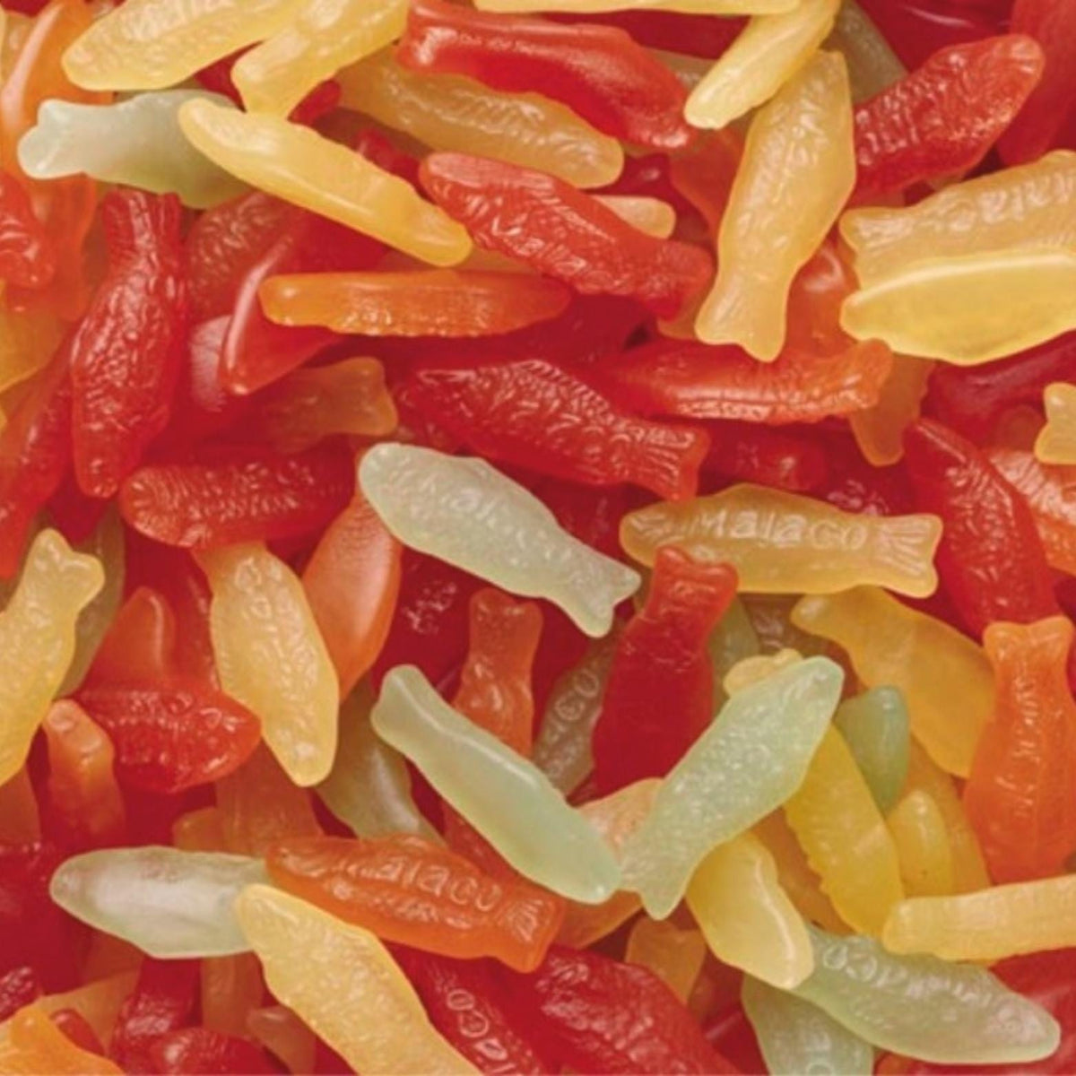 Fish Type Sweet Pastel Fish – Swedishcandybros